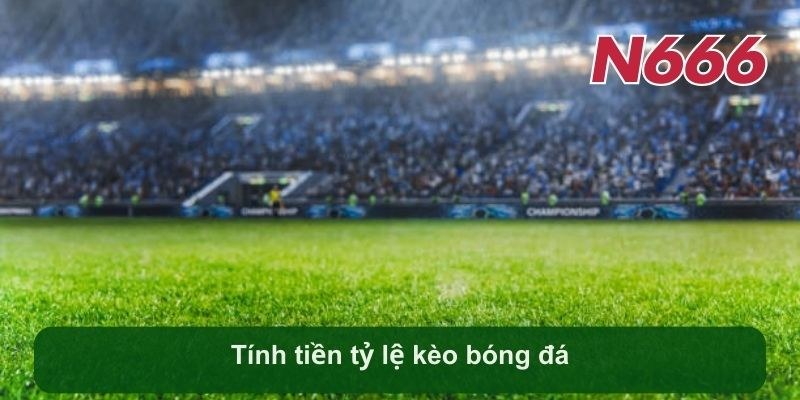 Tính tiền tỷ lệ kèo bóng đá